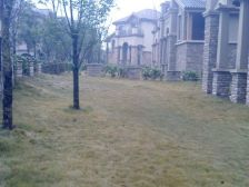 中安翡翠湖内独栋 住家舒服