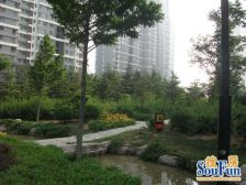 南山世纪华府 1室1厅 西北