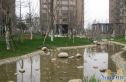 上东阳光一期实景图