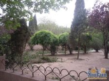 新三区 育贤 低楼层 出行方便