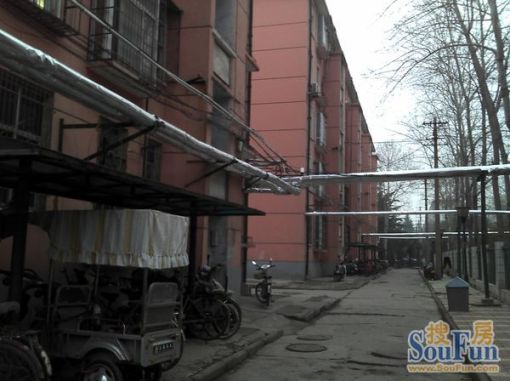  ���򳧼���Ժ2��2��1���ϱ�����800.00Ԫ/�³��� 