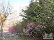 柏阳景园A区3室2厅南北