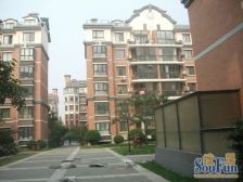 老街绿地郑东新苑一期 3室1厅 东 南