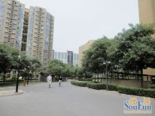 大河庄苑 3室2厅 南 北