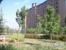 泉水人家下跃产品后期任意改动构造