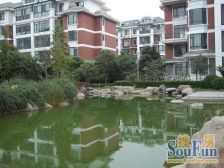 顺驰顶楼复式只算一层面积精装修带小露台欢迎来电!