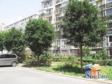 枣园·丽园B区·3室·2厅