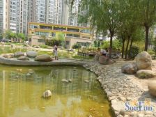 标准一居室 地铁口 电梯小高层2梯5户