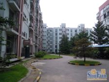 四环边电梯房板楼高楼层无遮挡诚心出售