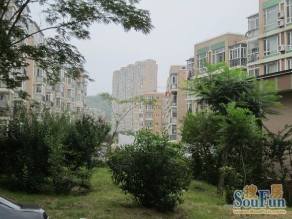 阳光月秀实景图