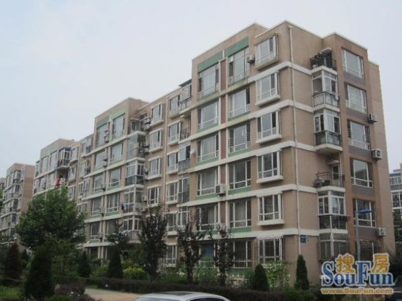 阳光月秀实景图