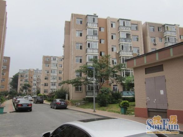 阳光月秀实景图