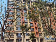 旅游路南 牧牛山下 山大辅仁门口 低密度洋房社区