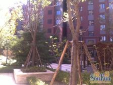 西山水库全水景房 上跃产品带露台 多层电梯洋房精装修