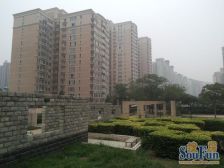 新!绿荫芳邻,96平大一居,落地窗,西南向采光好,集中供暖!