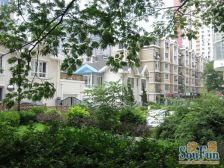 满五年 南北通透 视野宽阔 采光充足有电梯