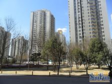 东卫城3室1厅东南