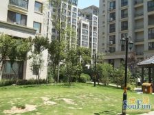 建业低密度小区,精装一室一厅,满五唯一,税费少急售