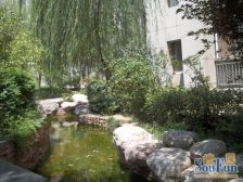 建业香槟圣园 精装修一室一厅 中间楼层 采光视野很好