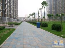 远洋山水3室2厅南北