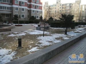 工体商圈封闭式管理带电梯东南3居室采光好