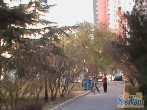望馨花园3室1厅南西北