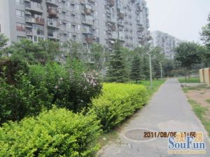 苹果派2室1厅南