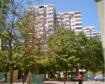 酒仙桥驼房营南里2居底层全明格局