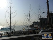 单价低近海不临海,5室空中别墅适合改善