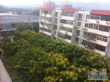 满五年唯一 三面朝南采光好 小区院里 安静舒适