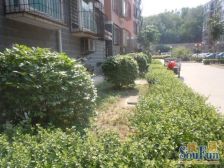 一梯两户房子满五年两室朝阳带地下室户型通透老少皆宜