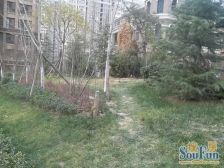 中海紫御东郡 5室3厅 南 北