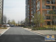 中州大道龙湖旁 户型 好 楼层 好