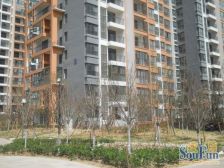 北龙湖西隔壁,观景复式五房,精装修,有露台,满五年