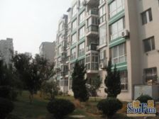 西安路四站地 知荇不摇号 精装修全明户型 近车站市场