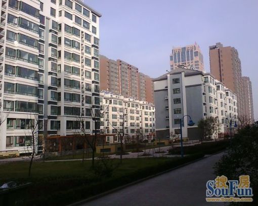  �������ͳ�2��1��1���ϳ���1000.00Ԫ/�³��� 