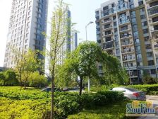 金马路轻轨站跃层两室南北通透近车站