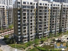 近轻轨站,中间楼层南北两室精装修,看房方便