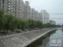 东方明珠 3室2厅 南 北