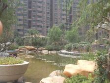 精装修,拎包入住,看房方便,西边户,格局清晰