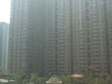 cbd旁 银基王朝四期 百万装修 标准五房大平层