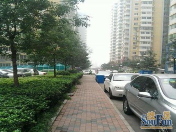 乐城实景图