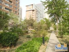 观音景园一期3室2厅南北