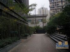 州 人事局 带入户花园15平 种植花草 经典户型 采光好