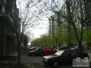 优点社区南北三居,落地窗阳台,户型好