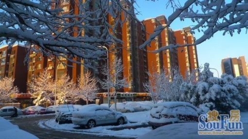  ���⡤���˴�СӪ������ͩ��C����3�� 