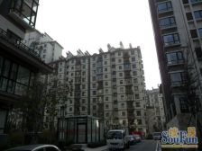 封闭小区,绿化好,精装修,拎包入住 楼层好视野开阔