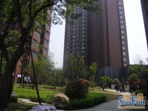 11层小高层位置楼层采光好双地铁接受市场价