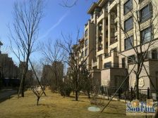 鲁能7号院溪园3室2厅南北