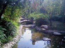 房子满五唯一 税费少 视野开阔 低密度洋房 看房约